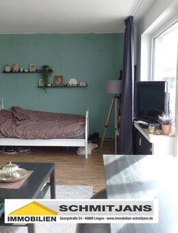 Renoviertes, lichtdurchflutetes Sonnen-Apartment für 1 Person mit großer Dachterrasse - Lingen (Ems)