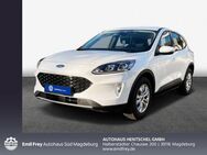 Ford Kuga 1.5 EcoBoost COOL&CONNECT - Magdeburg