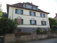 6 Zi- Maisonette Wohnung in Michelstadt - Michelstadt