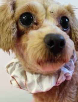 489909 - völlig neue Erfahrungen machen - Overath