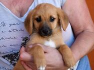 Alberto sucht seine Familie - Neuss
