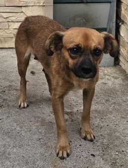 neugierige MALU sucht Neuanfang - München