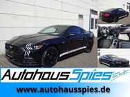 Ford Mustang 3,8 V6 US-Import Aut. Alu19 Nav RKam Tmat Shz - Heilbronn