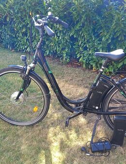 Prophete EPAC DA City 28 Alu E-Bike Fahrrad Controller defekt , Motor Neu, Nur Abhohlung kein Versand möglich! - Braunschweig