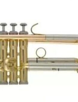 Besson B - Trompete aus Goldmessing inkl. Koffer und Mundstück - Hagenburg