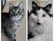 Marie und Bantik - Berlin