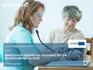 Medizinisch-technischer Assistent für die Blutentnahme (m/w/d) - Hennigsdorf