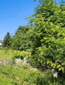 Ländliches Anwesen mit Nebengelass - Viel Platz für Familie und Gemeinschaft auf 6.000 m² - Luckau