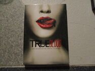 dvd serie film,true blood,komplette erste staffel,5 dvds,ab 16 jahre - Pforzheim