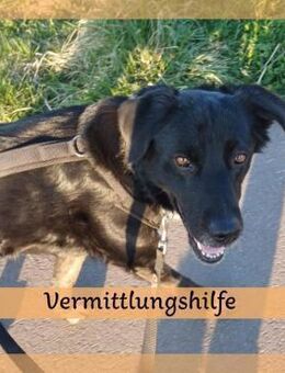 Einzelprinzessin MIRA sucht Schloss ❤️ - Saarbrücken