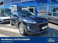 Ford Kuga, 2.5 Hybrid Cool & Connect FHEV Winter Paket digitales, Jahr 2023 - Weinheim