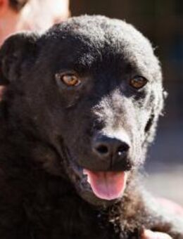 Vinn 💗schmusiger, süßer Bub sucht Liebe - Hamburg