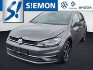 VW Golf, 1.5 TSI 7 IQ DRIVE R, Jahr 2019 - Ibbenbüren