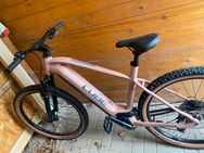"Cube Reaction Hybrid Pro 750 blushrose E-Bike Mountainbike" - Petershagen