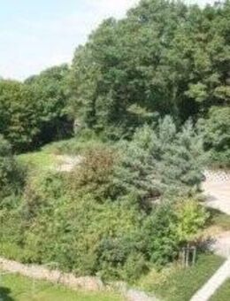Ganz oben mit "grüner Aussicht" - Hohenstein-Ernstthal