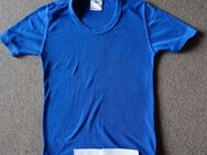 Kinder T-Shirts Gr. 116 - Neuenkirchen (Landkreis Heidekreis)