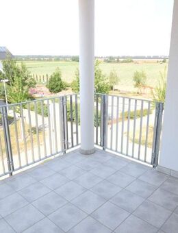 Großzügige, elegante Wohnung mit Westbalkon - Mannheim
