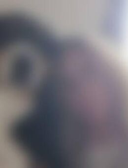 Nad*** - Gelsenkirchen