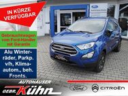 Ford EcoSport 1.0 Trend- WR, AHK, PDC, Sitzh., Reling - Arnstadt