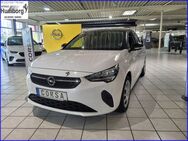 Opel Corsa, 1.2 F Edition, Jahr 2023 - Bad Driburg