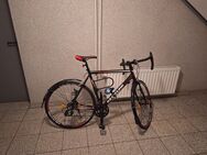 KS Cycling Rennrad Euphoria 28 Zoll (58 cm Rahmenhöhe) - Düsseldorf