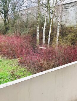 EINZIEHEN & WOHLFÜHLEN: Tolle 2-Zimmer Wohnung mit Wannenbad - Bad Gandersheim