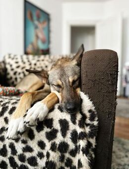junge, smart Frida sucht ihre Familie - Berlin