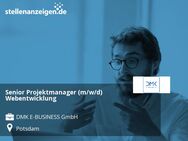 Senior Projektmanager (m/w/d) Webentwicklung - Potsdam