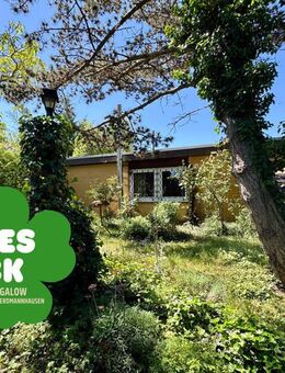 Grünes Glück - Bungalow in Erdmannhausen! - Erdmannhausen