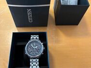 Citizen Promaster Eco Drive - Weiskirchen