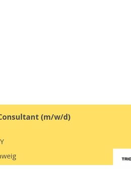 IT-Prozess Consultant (m/w/d) - Braunschweig