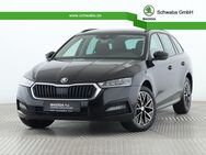 Skoda Octavia, 1.5 TSI Combi Ambition e-TEC, Jahr 2024 - Gersthofen