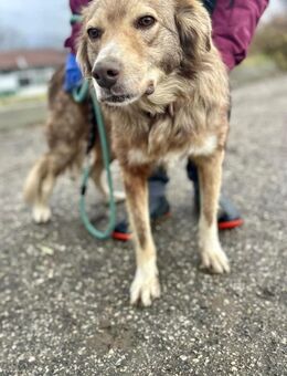 ♥️ PATCH hofft auf ein Wunder 🍀 - München