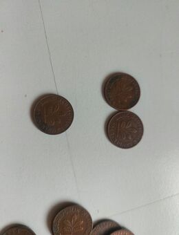 1 Pfennig Münzen D 1948, 1949 und 1950 - Neuhaus (Inn)