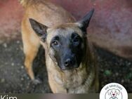 Kim: Menschen mit Geduld&Liebe gesucht - Kirchzell