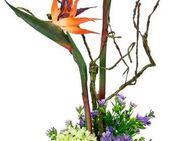 Kunstpflanze Strelitzie/Sonnenblumen, I.GE.A., Höhe 45 cm