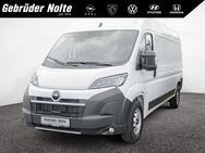 Opel Movano, 3.5 Kasten HKa L3H2 t verstärkt, Jahr 2022 - Iserlohn