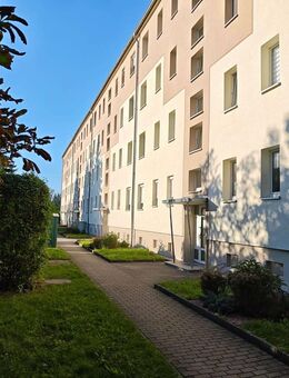 + 4 Jahre Mini-Kaltmiete-Festpreis bei Eigenleistung + 3 RWG mit Balkon 1OG - Regis-Breitingen