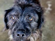 Marvin sucht seine Familie - Bochum