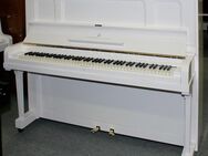 Klavier Steinway & Sons K-132, weiß poliert, Nr. 215632, 5 Jahre Garantie - Egestorf