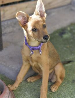 IGUALA - schlichtweg: BEAZUBERND! - Neudenau