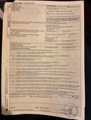 Griechische Landschildkröten 2024 in 12587