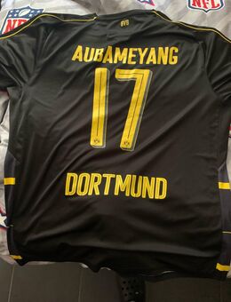 BvbTrikot - Werdohl