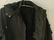 Herrn Jacke (Parker) braun Gr.L - Niddatal