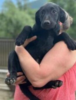 Smarty hofft eine eine tolle Zukunft - München