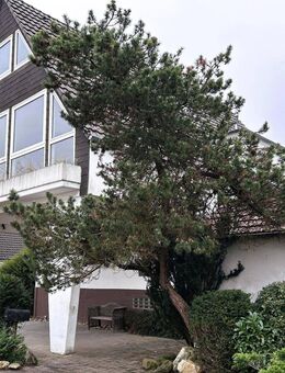FREISTEHENDES EINFAMILIENHAUS MIT VIEL POTENZIAL FÜR INDIVIDUALISTEN. - Meerbusch