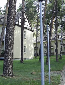 1-Zimmer-Appartement in waldreicher Gegend zu verkaufen - Dessau-Roßlau