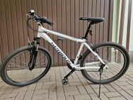 24"-Mountain-Bike zu verkaufen! - Herbsleben