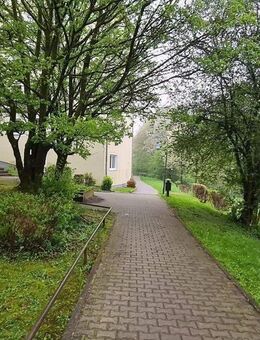 Singles aufgepasst! Saniertes Appartement im Souterrain eines gepflegten Mehrfamilienhauses - Remscheid