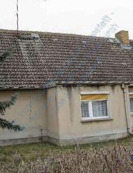 ++ EFH in Gerbisbach ++ 1.446 qm Grund ++ aus Insolvenz ++ - Jessen (Elster)